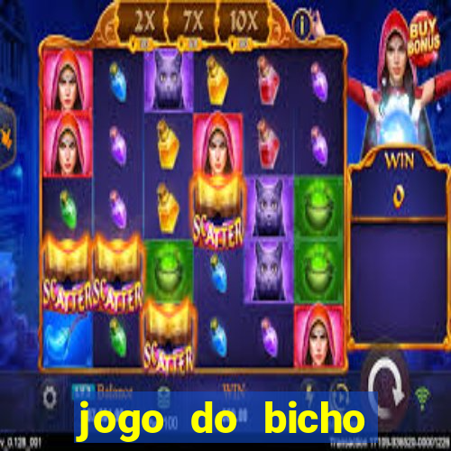 jogo do bicho crash bingo